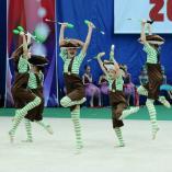 Турнир «Алина» 2014 - 134 