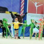 Турнир «Алина» 2014 - 147 