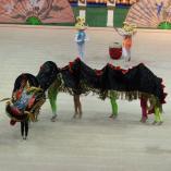 Турнир «Алина» 2013 - 36 