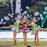 Фестиваль «Алина» 2015 - 439 